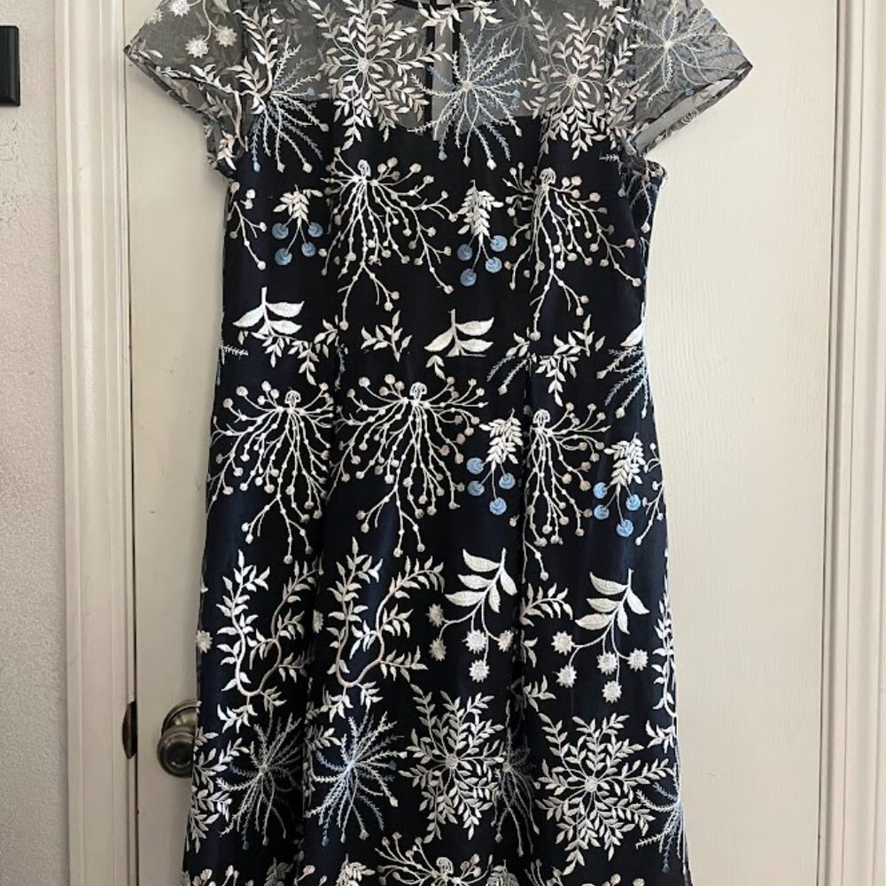 Adrianna Papell Embroidered Mesh Fit Flare Wedding Guest Dress Size 12